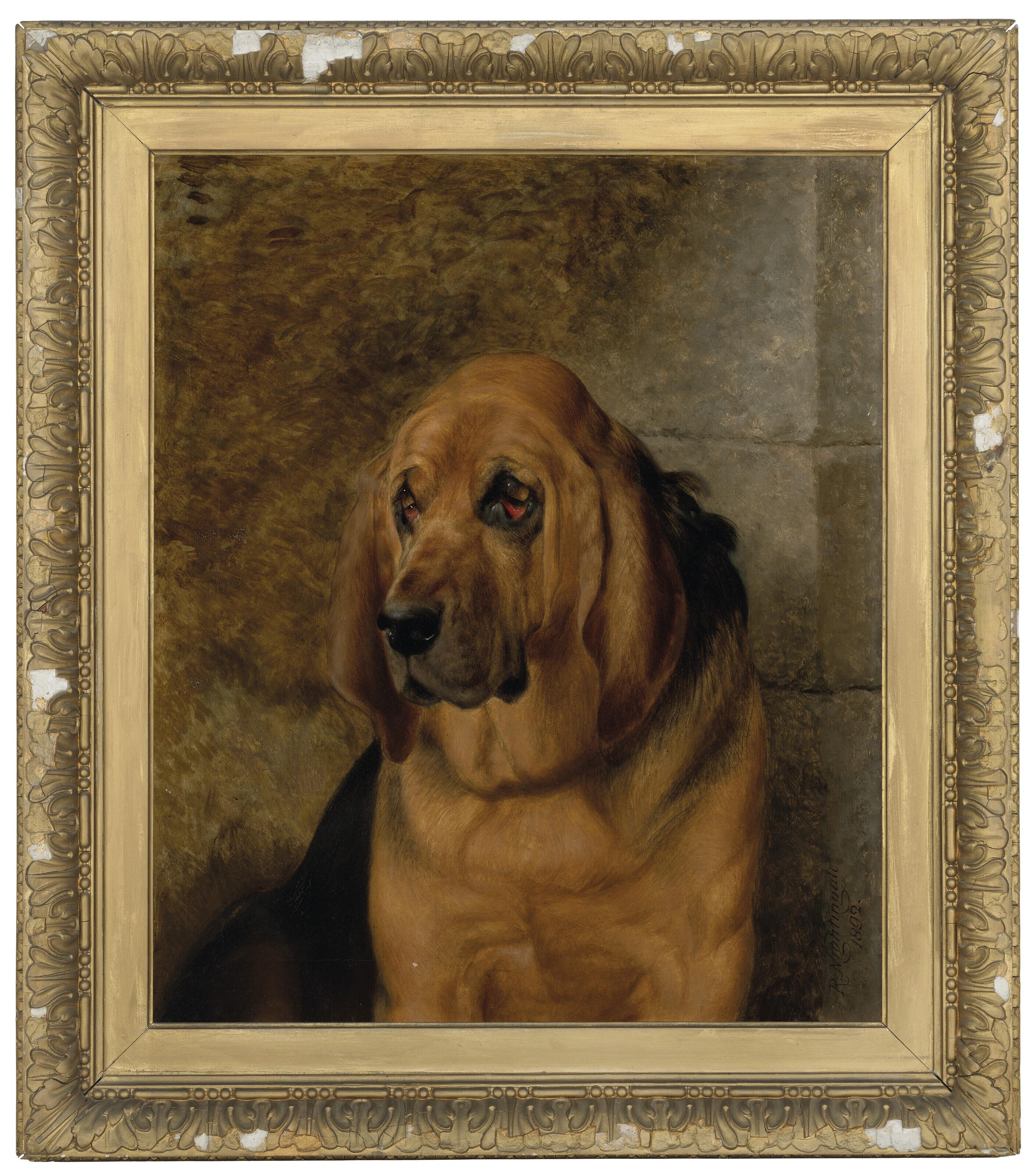 A bloodhound by Basil Nightingale Art.Salon