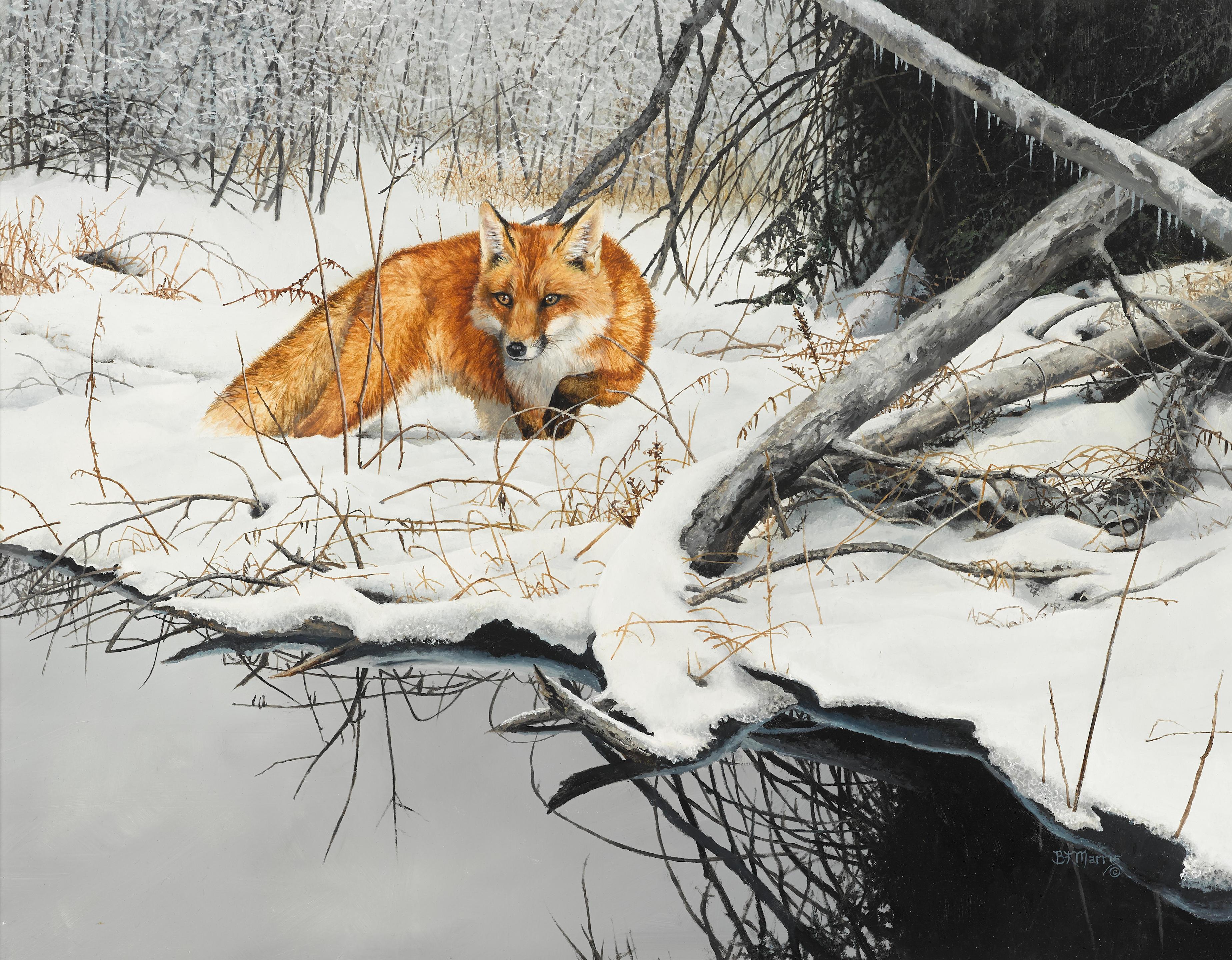 Red Fox in Snow by Bonnie Marris | Art.Salon