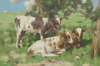 David Gauld, CALVES