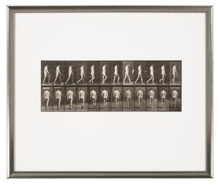 Eadweard Muybridge - Animal Locomotion, Plate 549, 1887