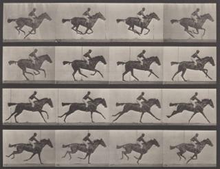 Eadweard Muybridge | 78 Artworks and Similar Artists | Art.Salon