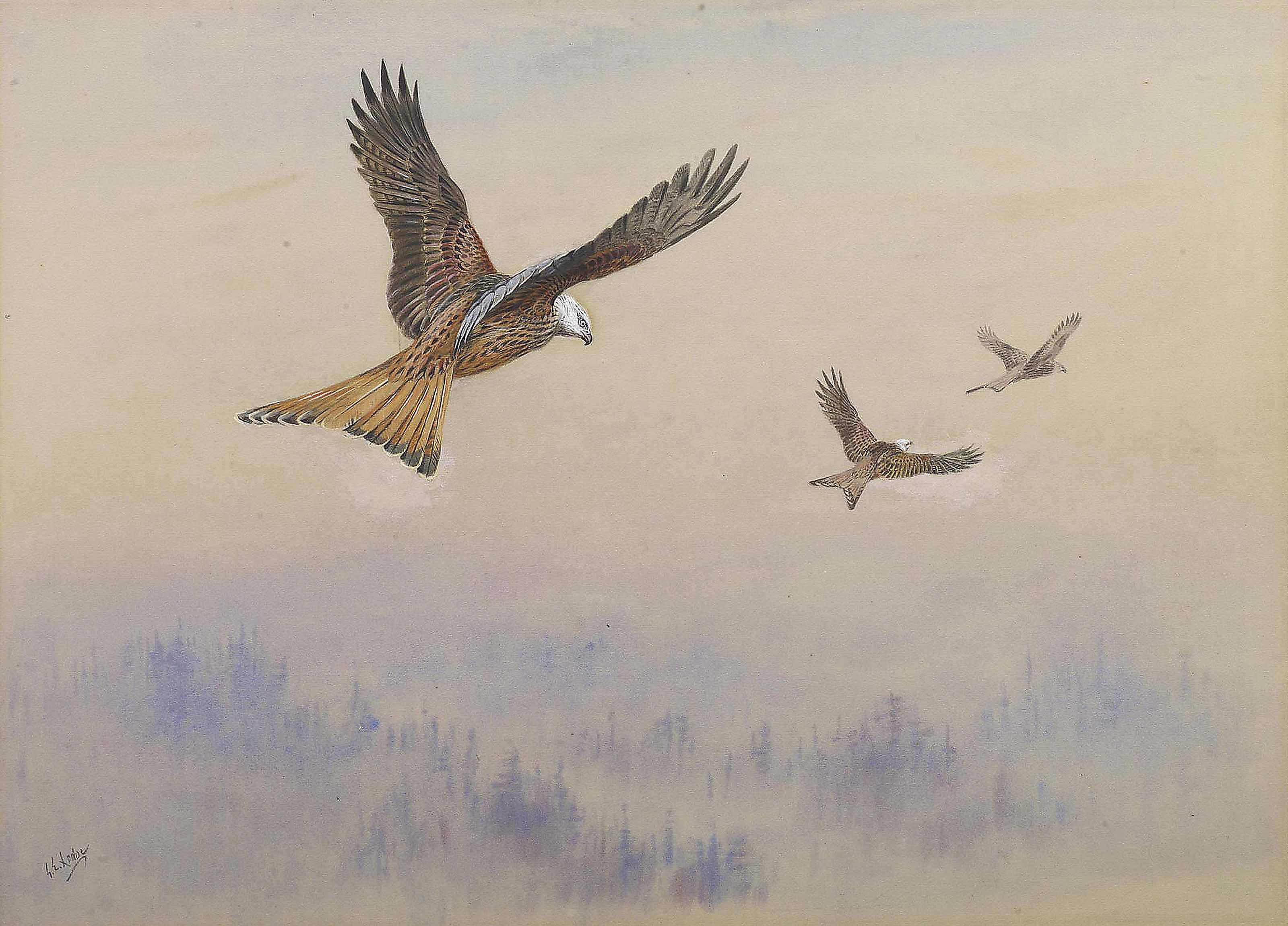 Red Kites by George Edward Lodge | Art.Salon