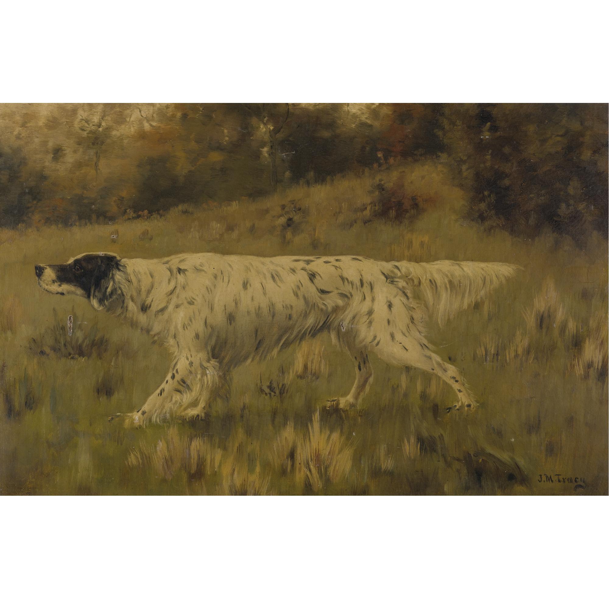 American Bird Dog On Point by John Martin Tracy | Art.Salon