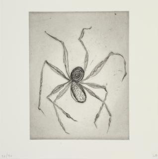 Review, Spider Woman: Louise Bourgeois at the Hayward Gallery