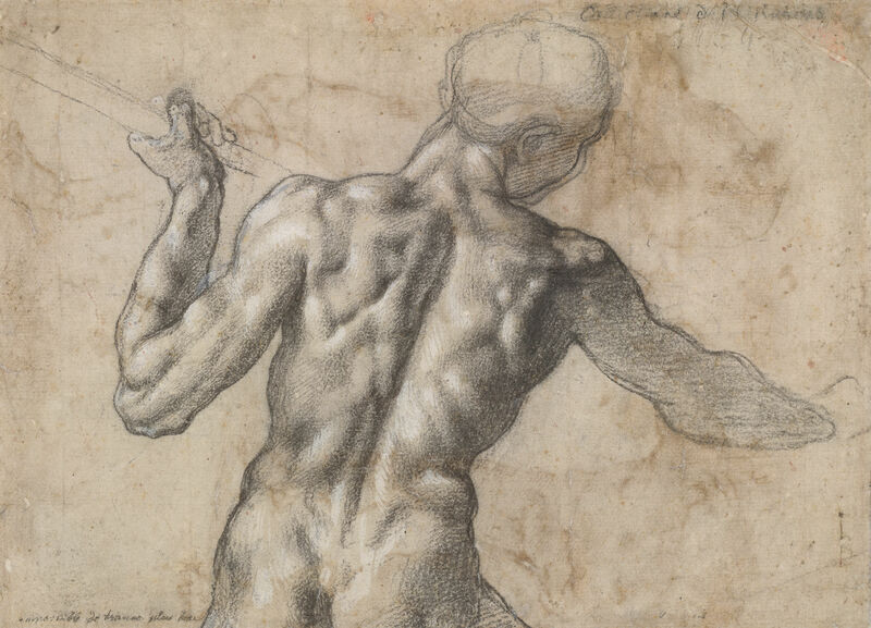 Michelangelo Buonarroti, Männlicher Rückenakt, um 1504