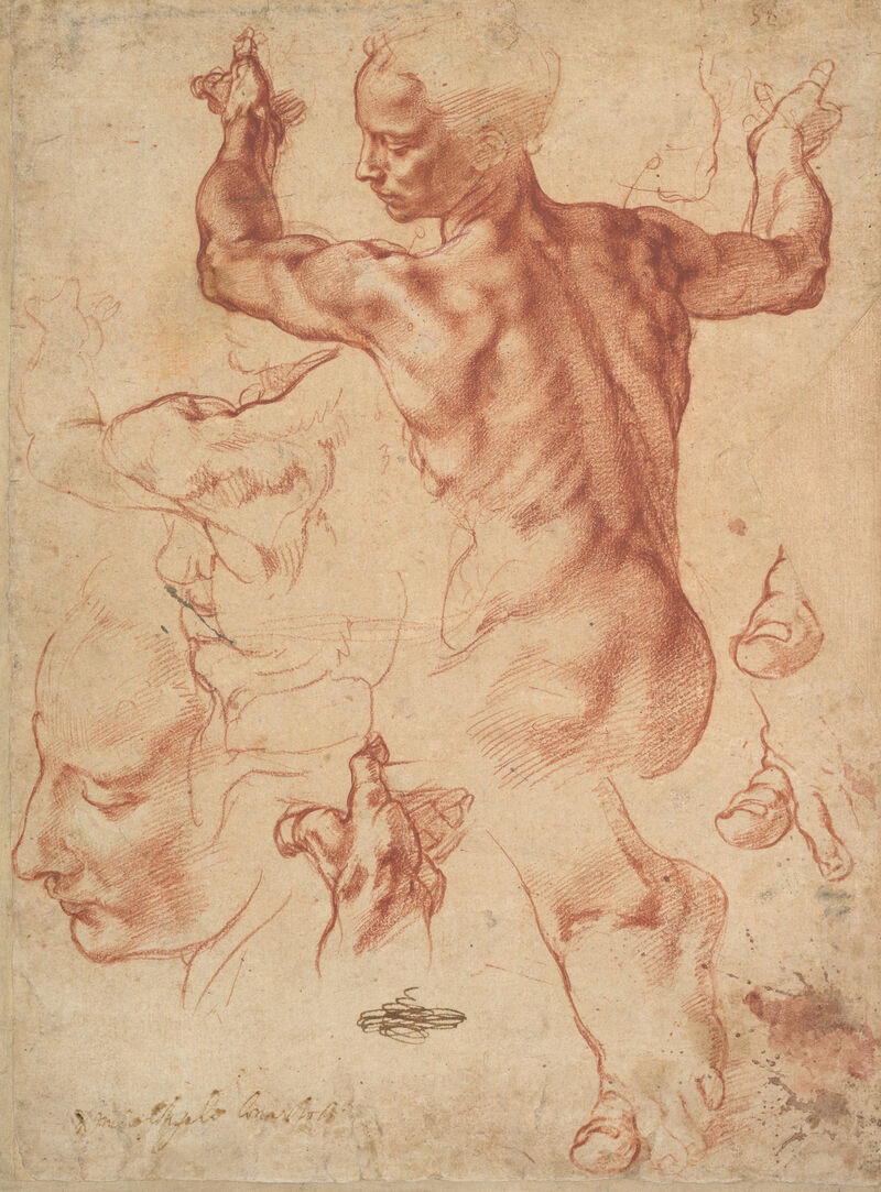 Michelangelo Buonarroti, Studien für die Libysche Sibylle, um 1510/11