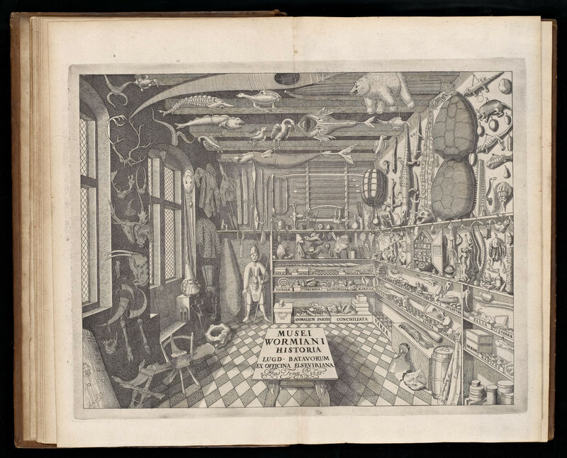 Ole Worm, Museum Wormianum, seu, Historia rerum rariorum : tam naturalium, quam artificialium, tam domesticarum, quam exoticarum, quae Hafniae Danorum in aedibus authoris servantur, 1655, Book with engraving