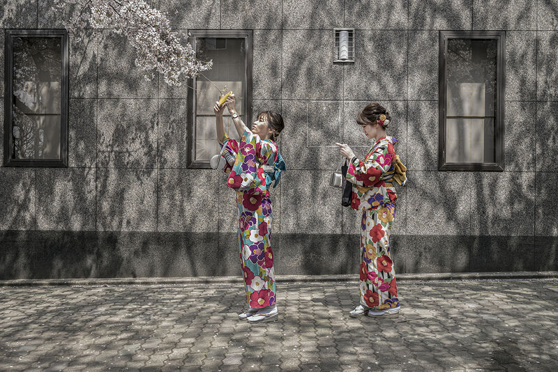 Michael Nischke, Kyoto SAKURA I, 2019