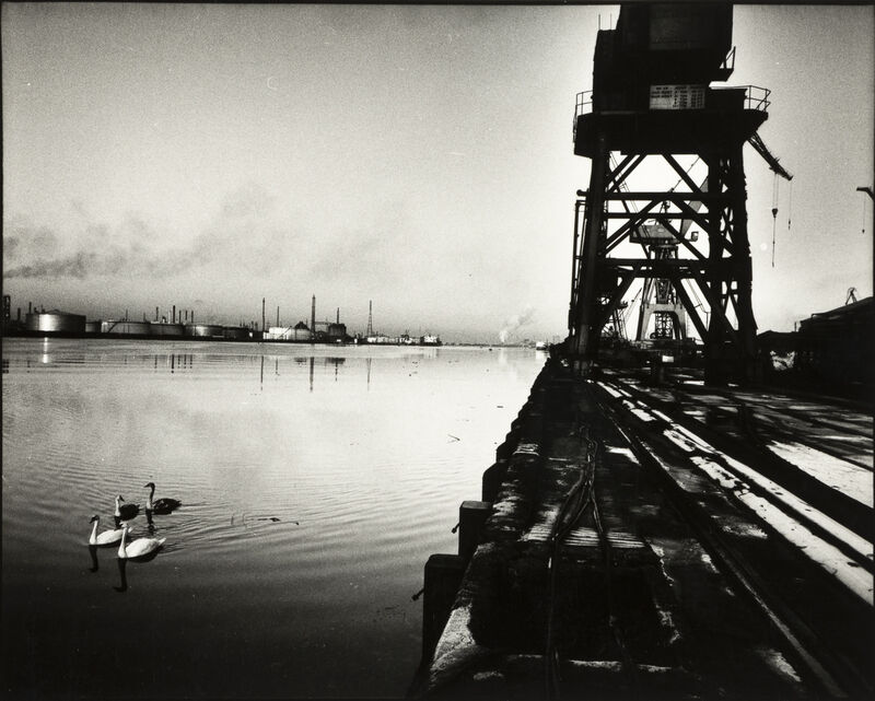 Ian Macdonald, Swans in the River Tees by Smith’s Dock outfitting berth, Boxing Day 1986. Photograph.