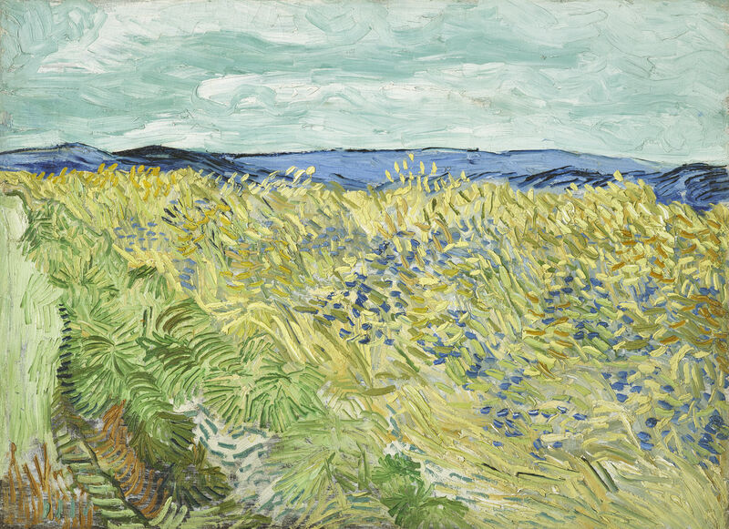 Vincent van Gogh, Champ de blé aux bleuets, 1890