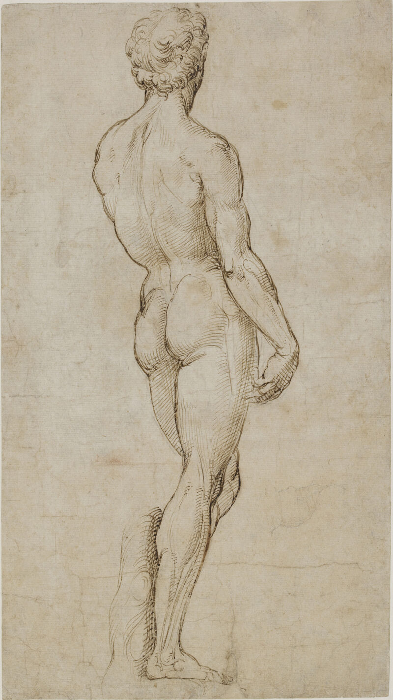 Raphael, after Michelangelo Buonarroti, David, c. 1505-08