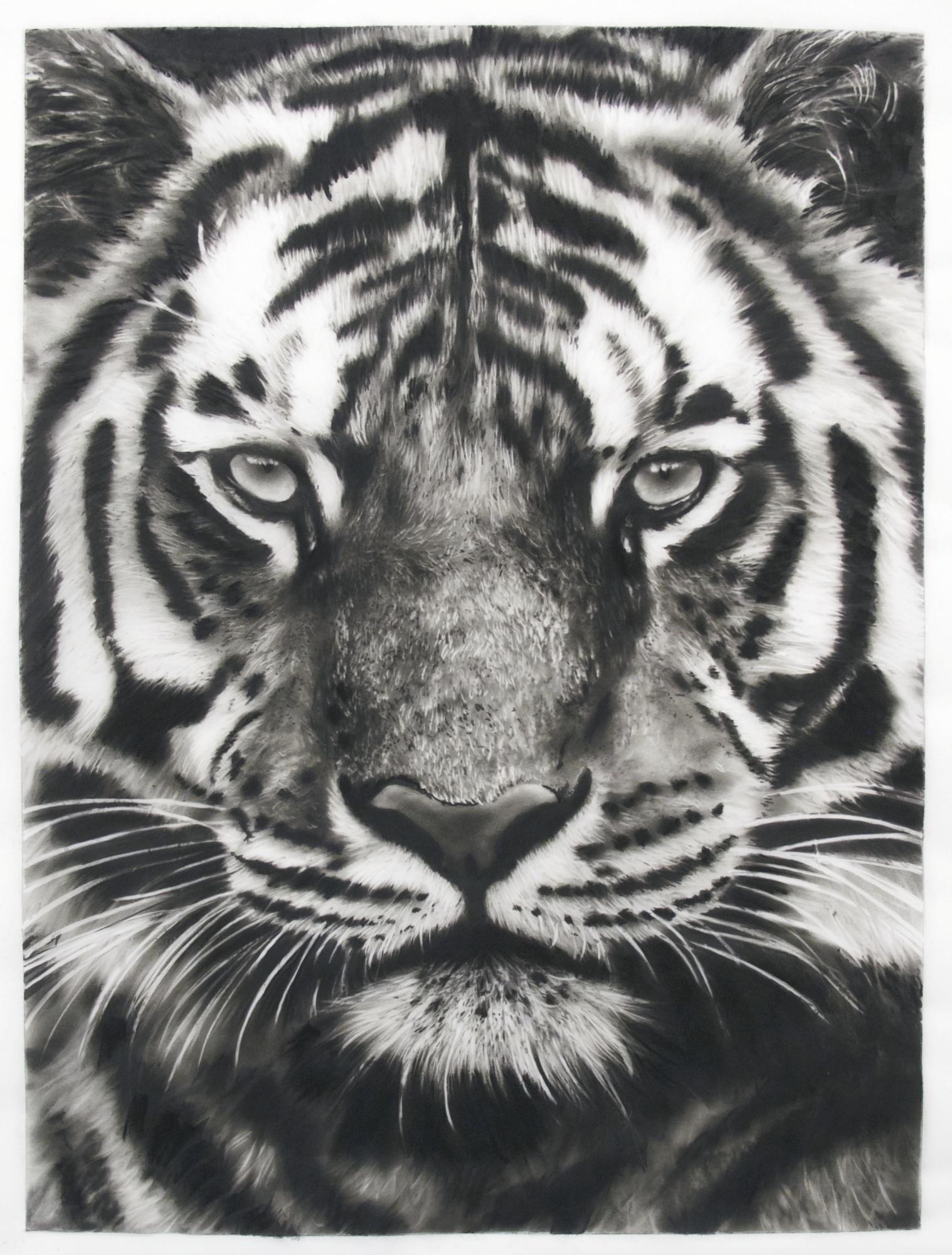 Study For Last Tiger 4B by Robert Longo | Art.Salon