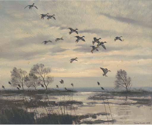 Mallards gliding in recto; and Geese feeding verso by Sir Peter Scott ...